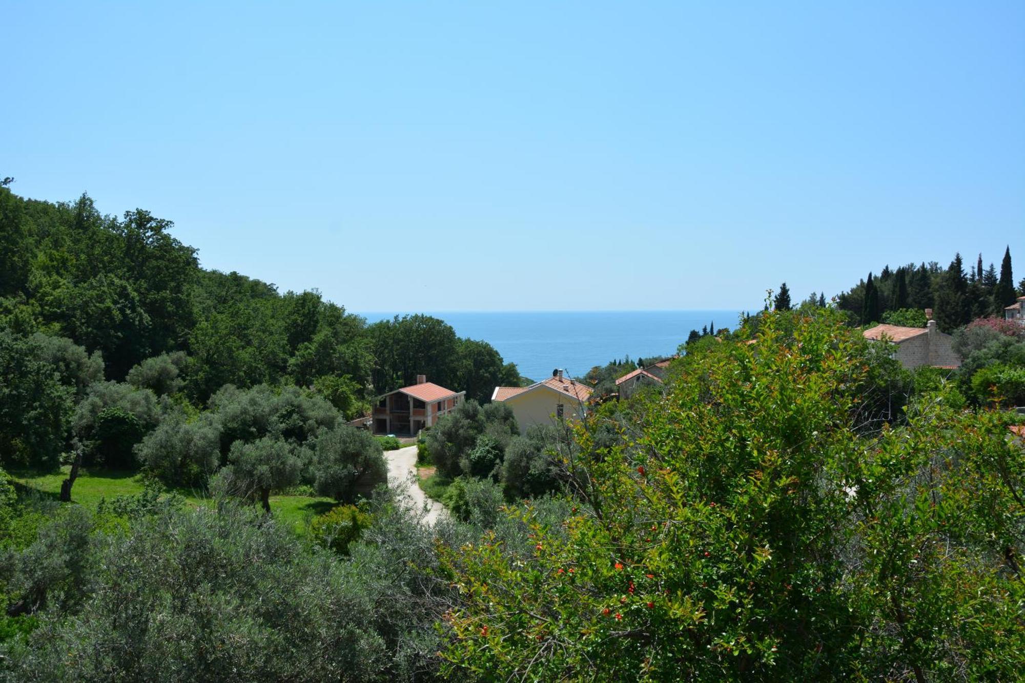 Apartments Djedovic 2 Petrovac Room photo